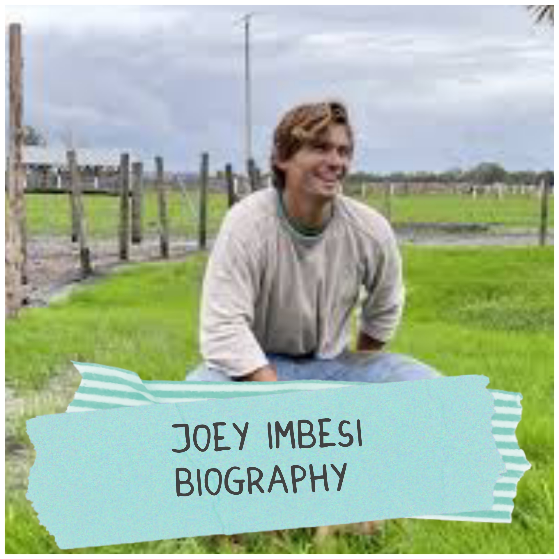 Joey Imbesi Biography