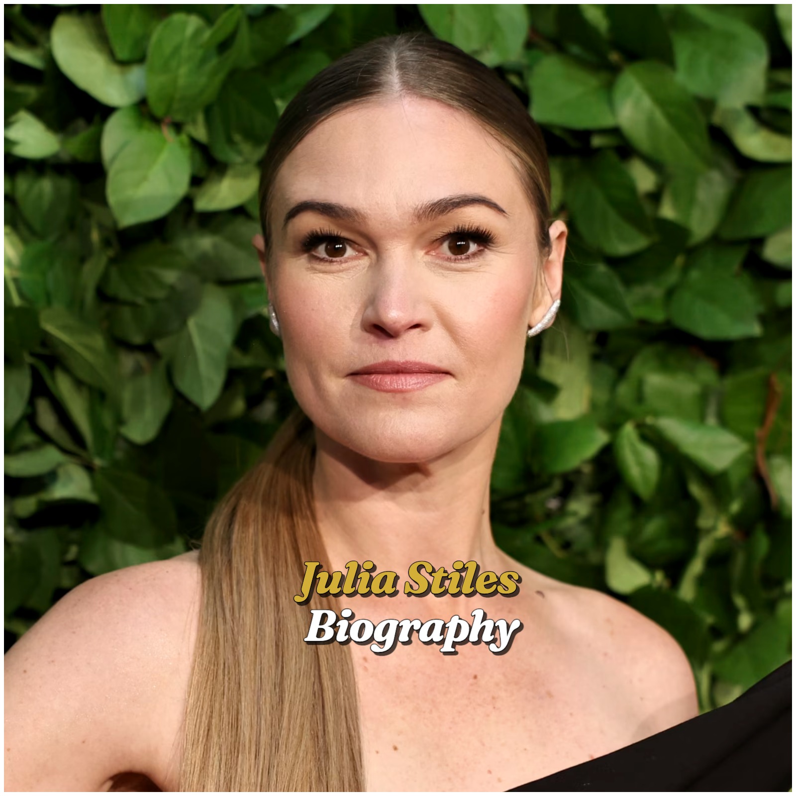 Julia Stiles Biography