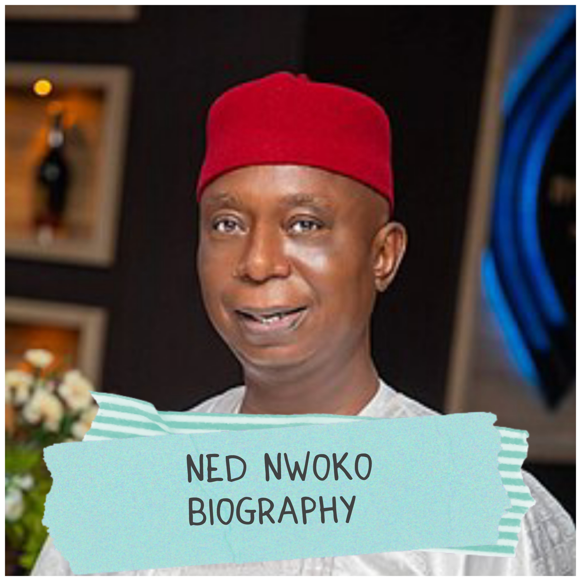 Ned Nwoko Biography