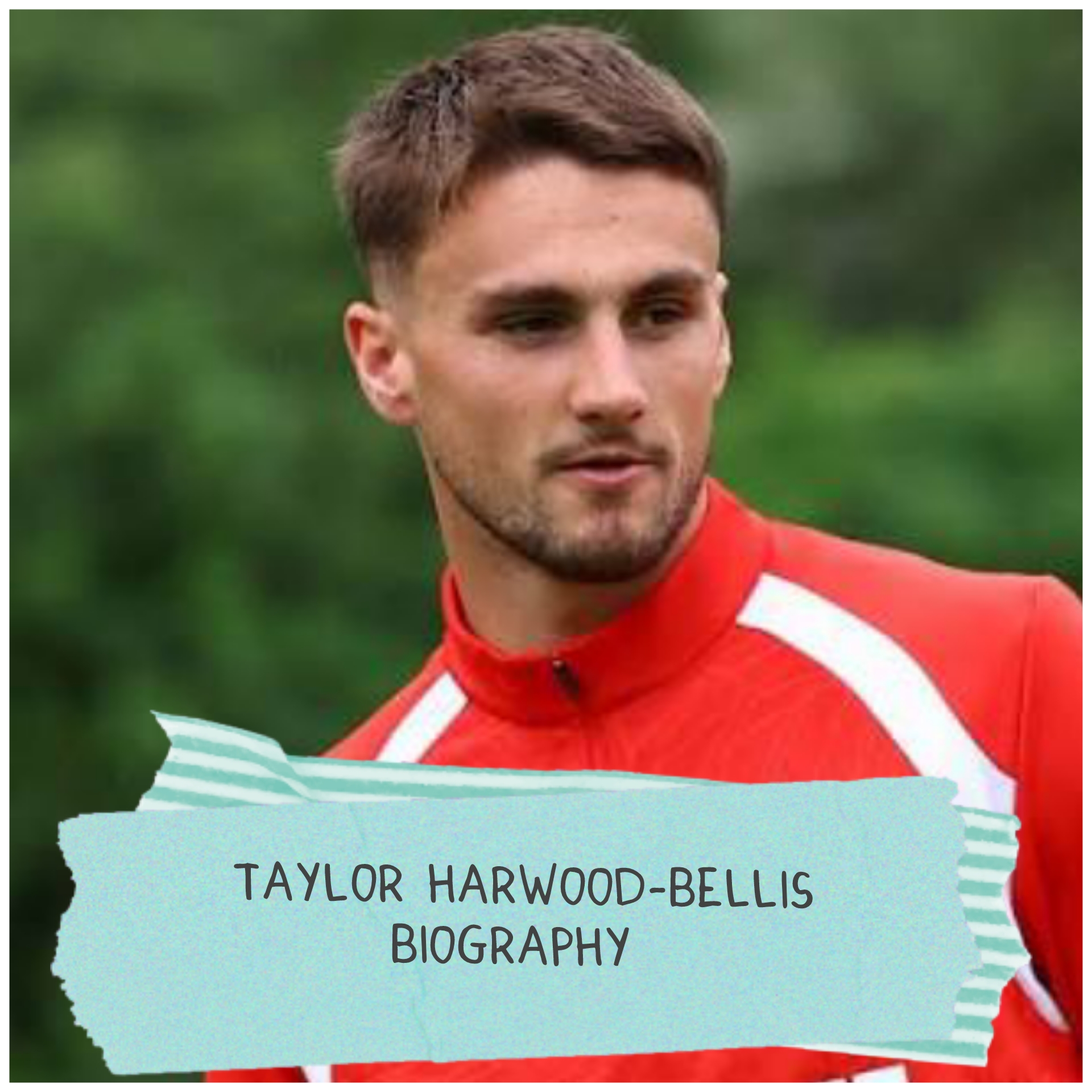 Taylor Harwood Bellis Biography